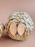 Handmade Wood Earrings Beginning Shape by Blooms of 4 Branches